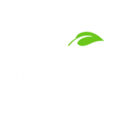 Plakxa Business Consulting